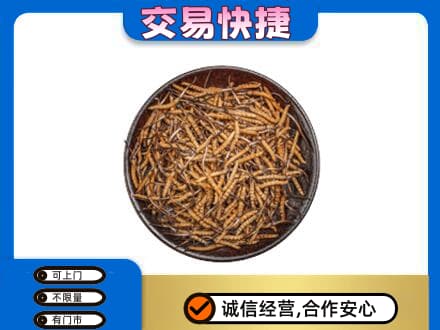 黄山祁门高价回收散虫草