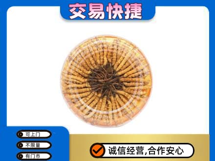 黄山祁门高价回收虫草礼盒