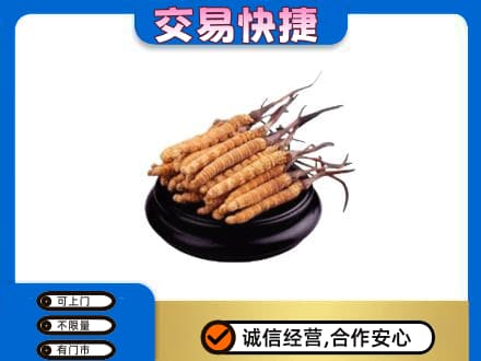 黄山祁门礼品回收散虫草.jpg